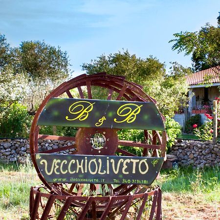 Il Vecchioliveto Di Ornella Bed & Breakfast Marrubiu Exterior photo