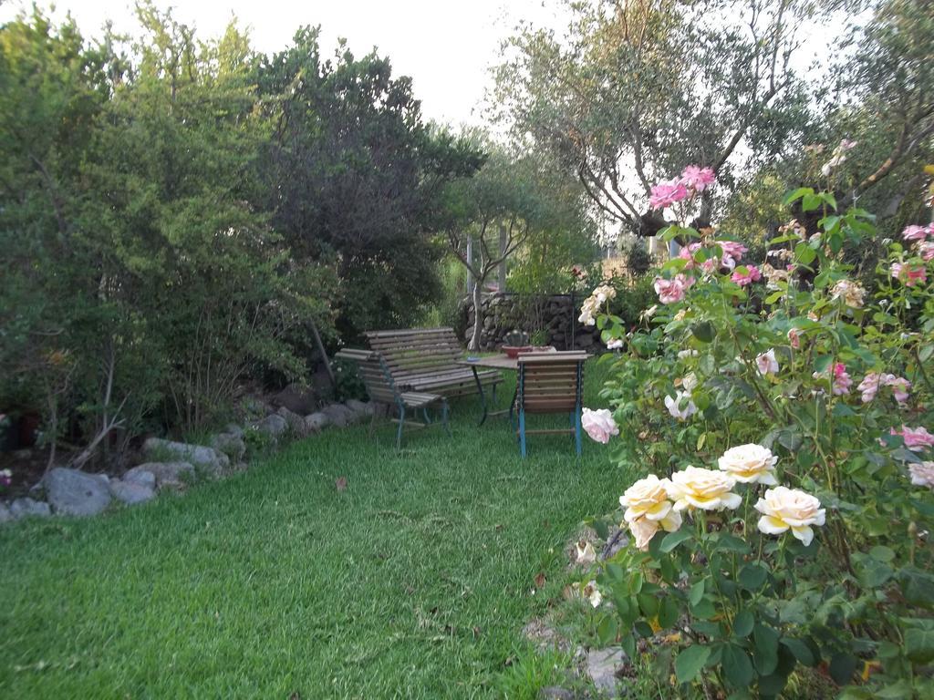 Il Vecchioliveto Di Ornella Bed & Breakfast Marrubiu Room photo