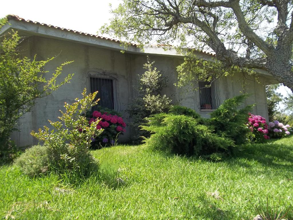Il Vecchioliveto Di Ornella Bed & Breakfast Marrubiu Room photo