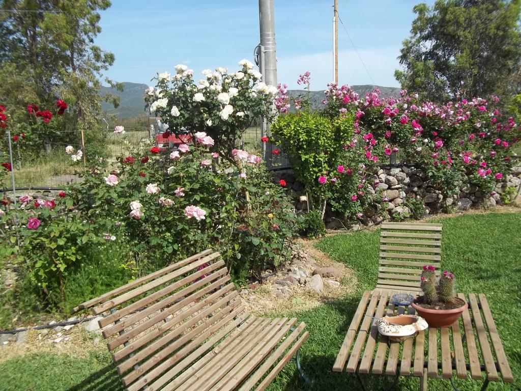 Il Vecchioliveto Di Ornella Bed & Breakfast Marrubiu Room photo