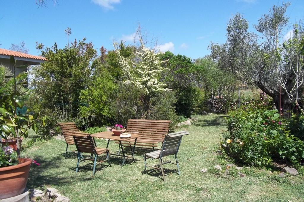 Il Vecchioliveto Di Ornella Bed & Breakfast Marrubiu Exterior photo