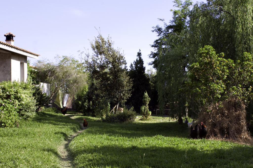 Il Vecchioliveto Di Ornella Bed & Breakfast Marrubiu Exterior photo