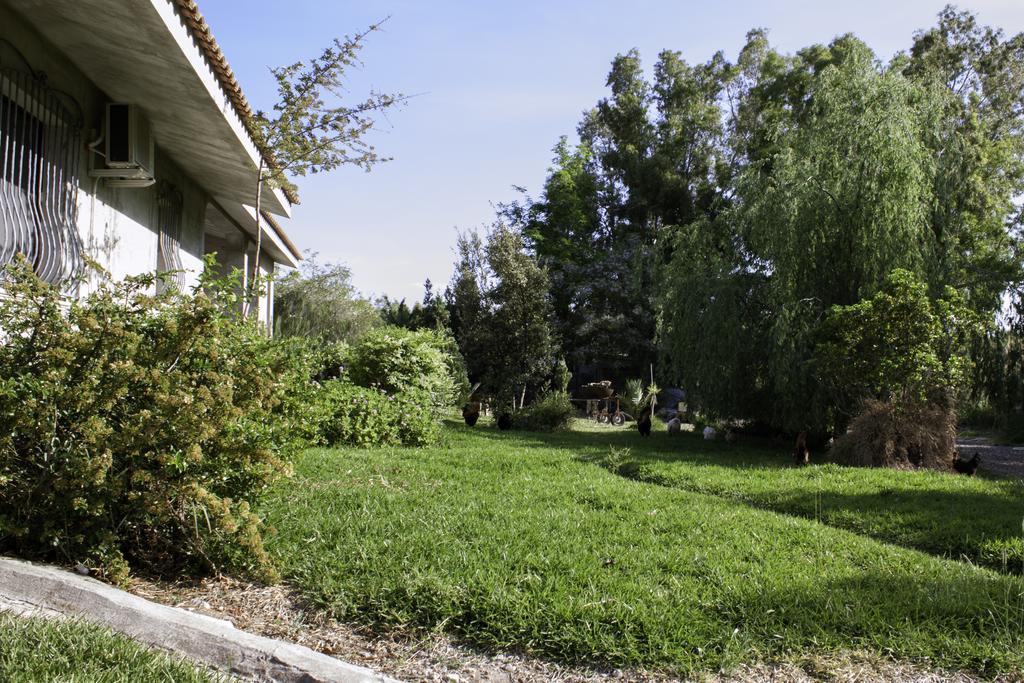Il Vecchioliveto Di Ornella Bed & Breakfast Marrubiu Exterior photo