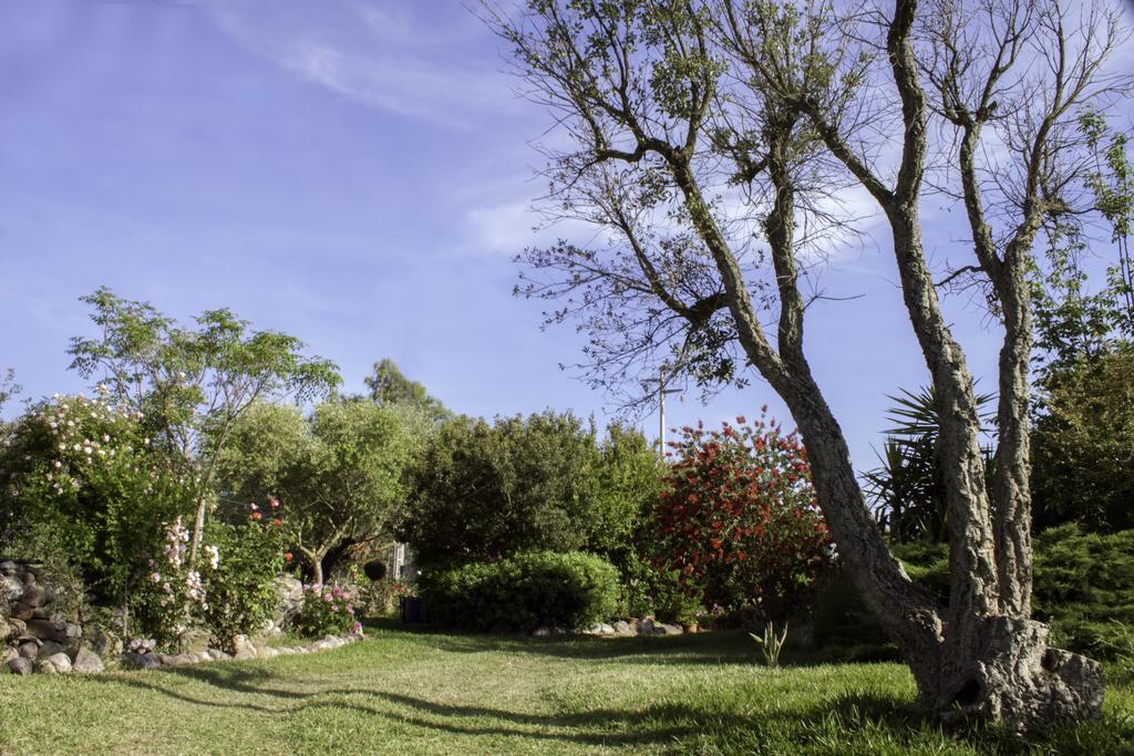 Il Vecchioliveto Di Ornella Bed & Breakfast Marrubiu Exterior photo