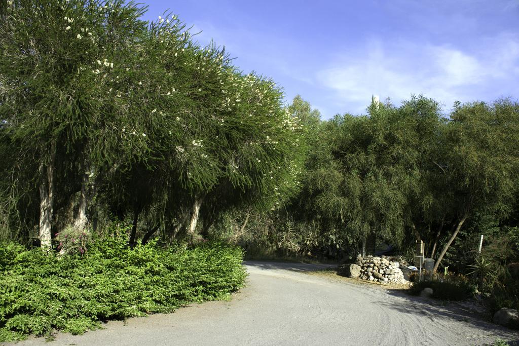 Il Vecchioliveto Di Ornella Bed & Breakfast Marrubiu Exterior photo