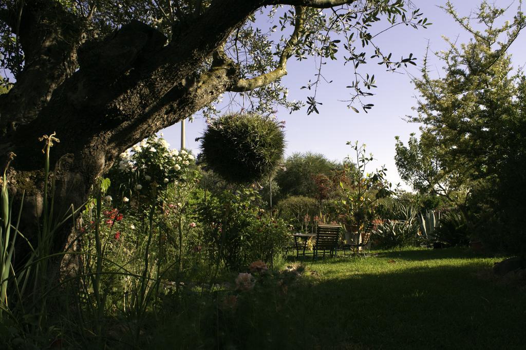 Il Vecchioliveto Di Ornella Bed & Breakfast Marrubiu Exterior photo